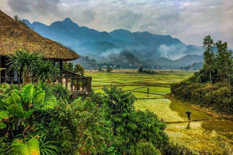 Junior Deluxe Double